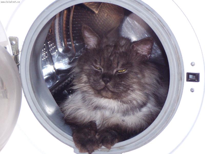 Foto: Gizma-Jak dlouho budu muset je�t� na tu koupel �ekat?