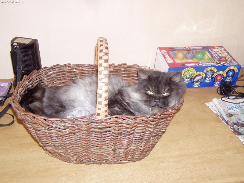 Foto: Gizma-To je m�j pel�ek!