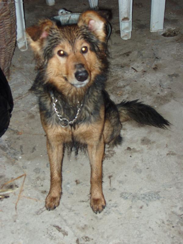 Foto: Rony-Tak trochu jsem zmoknul...