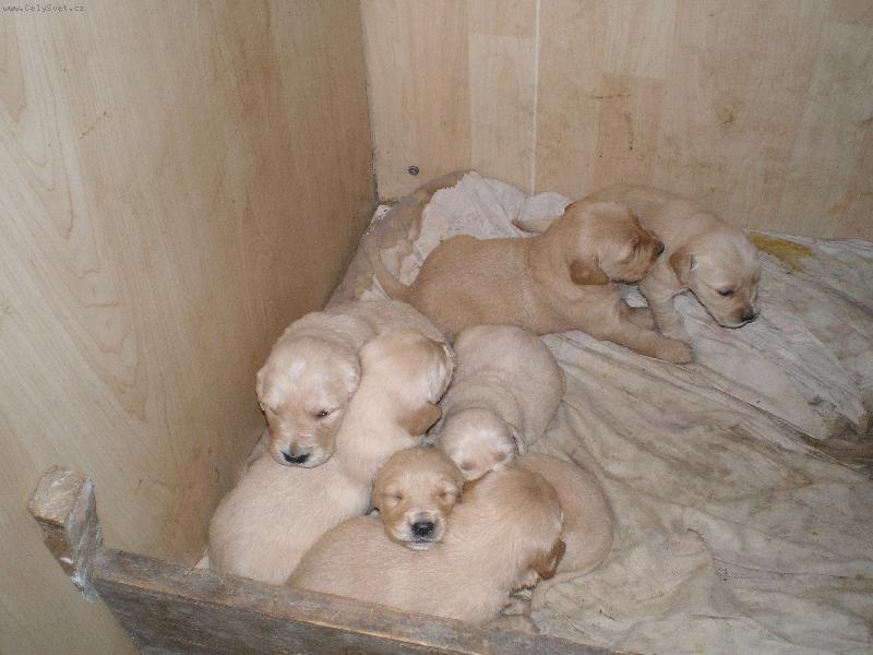 Foto: ste��tka...-Max uz je tat�nek:))