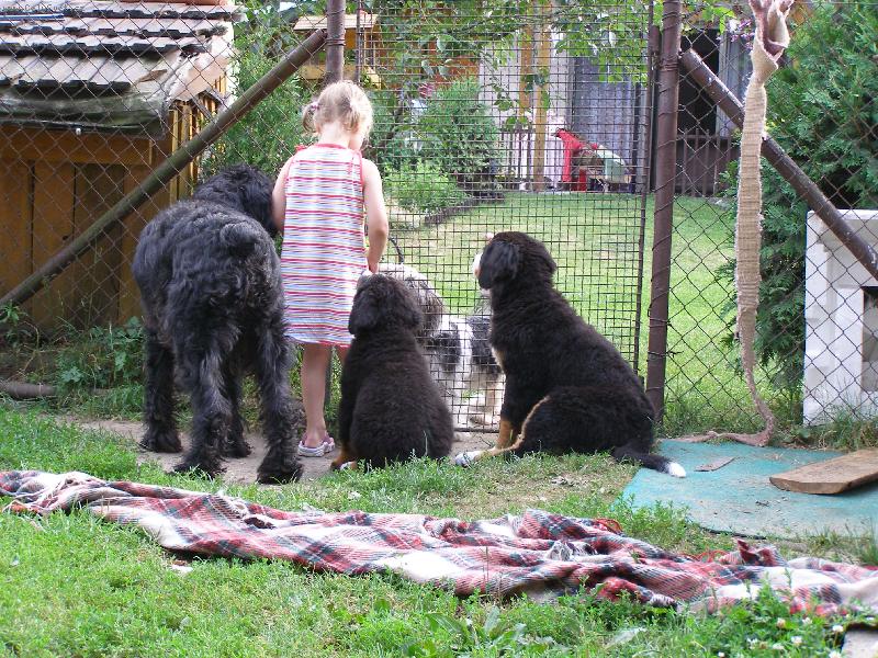 Foto: Pus�te n�s..-Pus�te n�s...