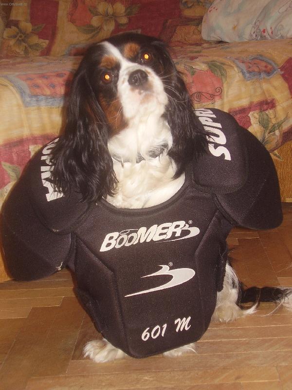 Foto: P��prava na ZOH Vancouver 2010 !!!-Athena Magic Magpie