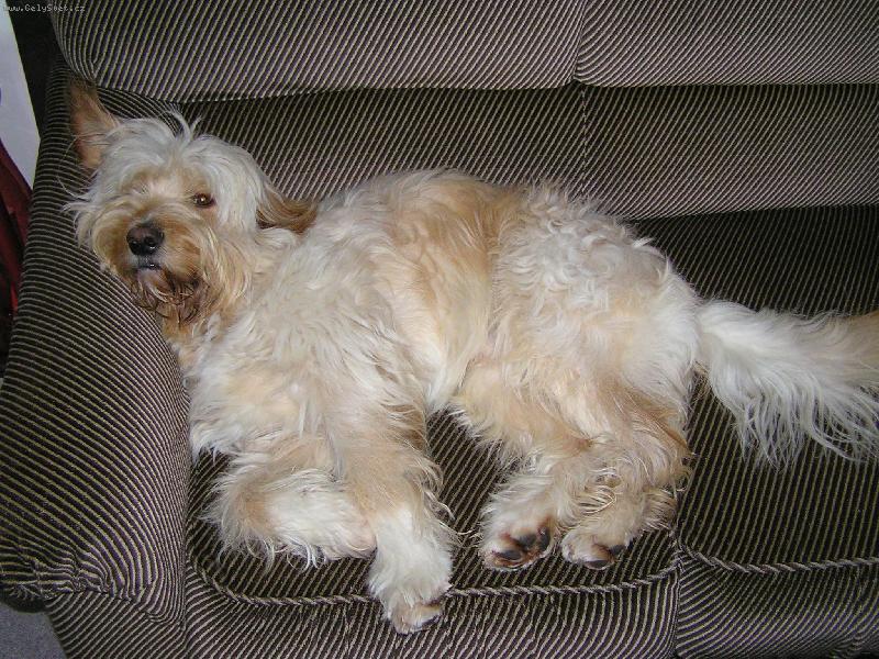 Foto: . . . pohoda, kl�dek a leh�ro. . .-Mat�j a pohodi�ka