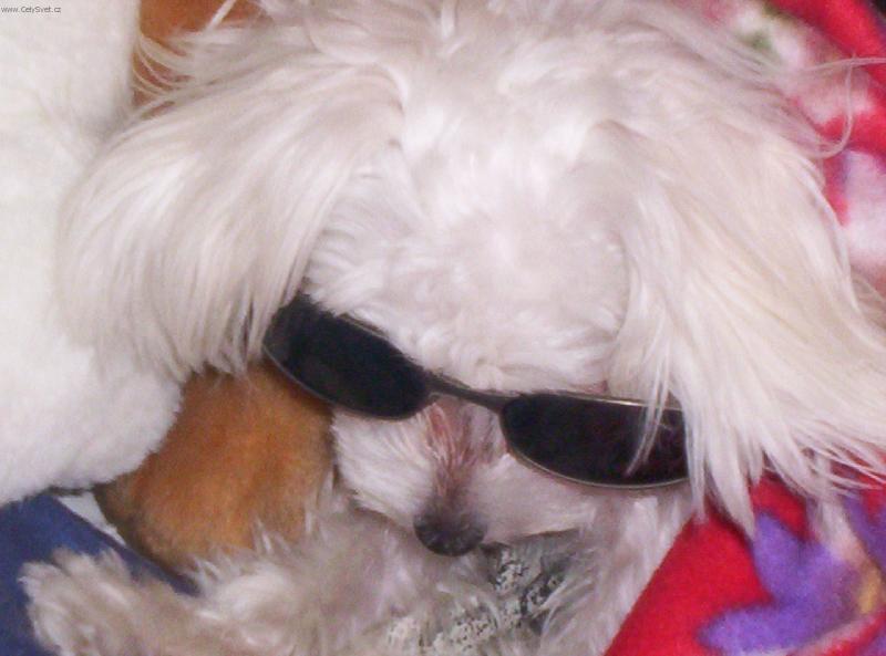 Foto: O�ek�v�m l�to!!!