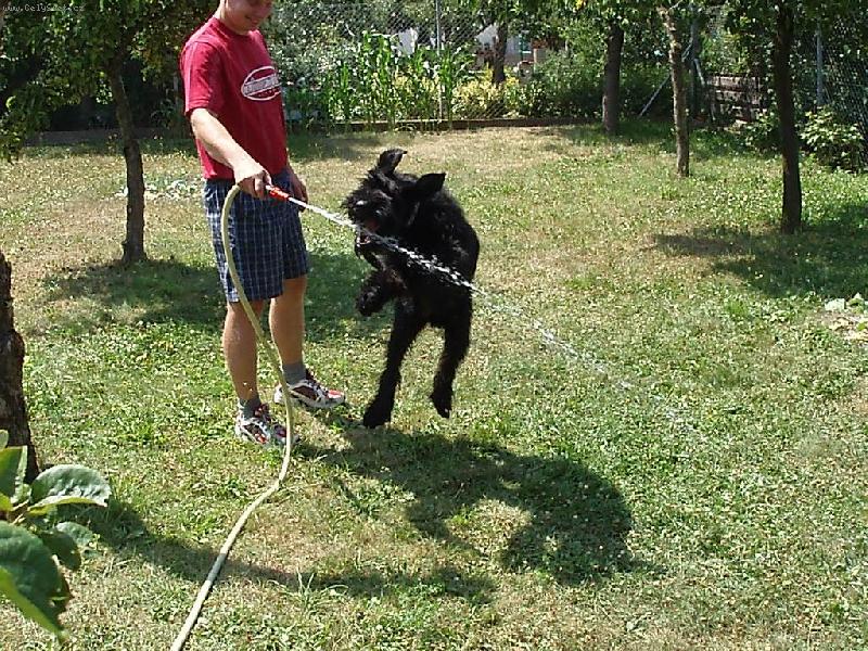 Foto: J� tu vodu chyt�m!-Devil Denny