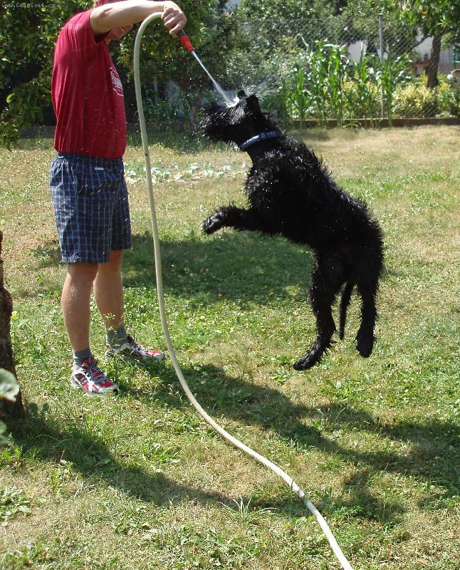 Foto: U� ji m�m!-Devil Denny