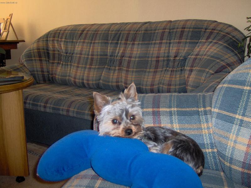 Foto: Kone�n� je p�ni�ka v nedohlednu-�u�ilovo pozdn� odpoledne