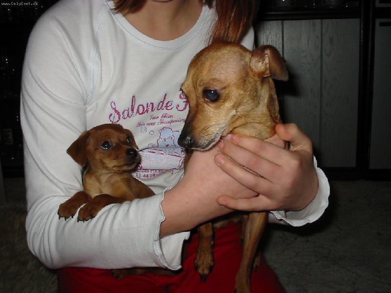 Foto: Mi��k a �t���tko-I kdy� je jeho, nechce se k n�mu hl�sit :)