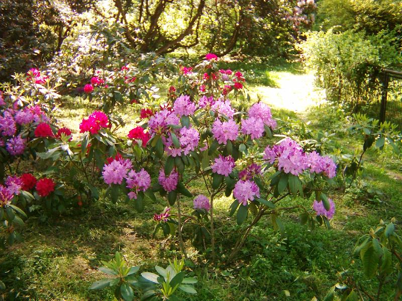 Foto: n���dhera �e ano