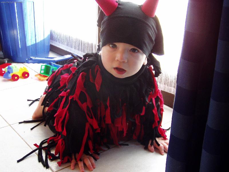 Foto: �ert�k s and�lskou tv���