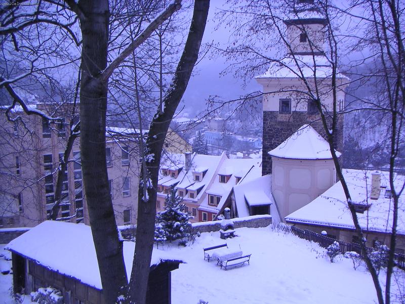 Foto: loket-m�j sn�mek