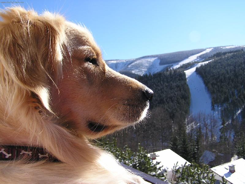 Foto: Bady-M�m to pod kontrolou, Krakono�i