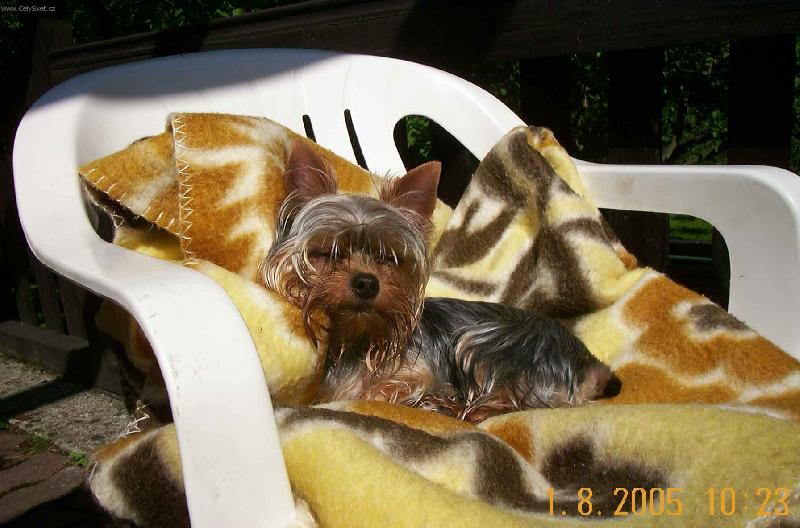 Foto: Na slun��ku je dob�e