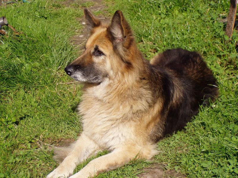 Foto: Betty-no comment