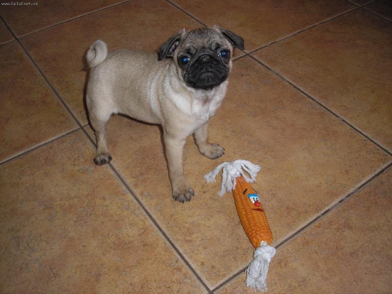 Foto: Bekkynka-kuku�i�ku v�dy a v�ude sebou..