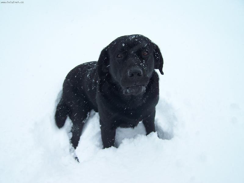 Foto: Max�k-To focen� m� nebav�!!!