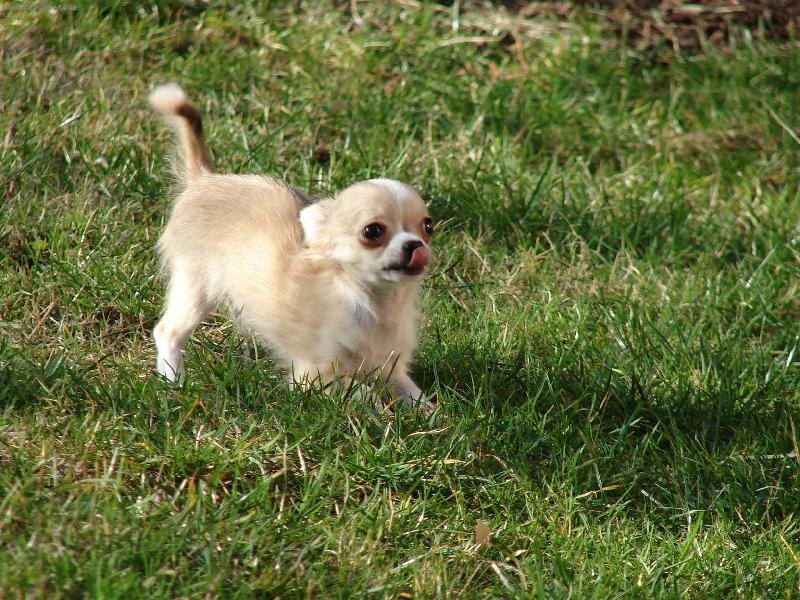 Foto: Na�e �ivav� d�tko-No nen� "k se�r�n�"? :-)