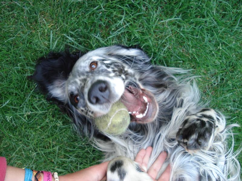 Foto: Cheynn z Me��nsk� h�jovny-blbnu s balonkem