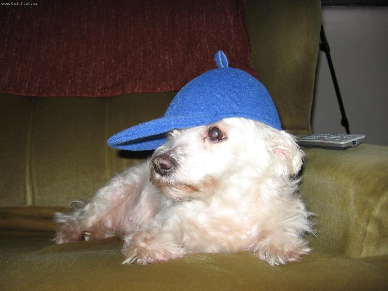 Foto: sindynka-Hip hop pes