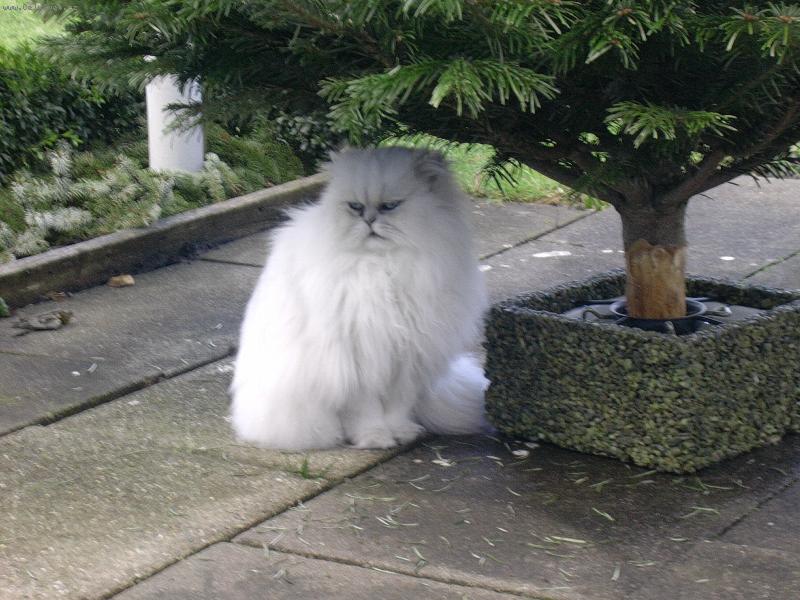 Foto: Evelyna-Evelynka p�em��l�