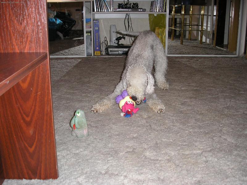 Foto: Moje prvn� narozky