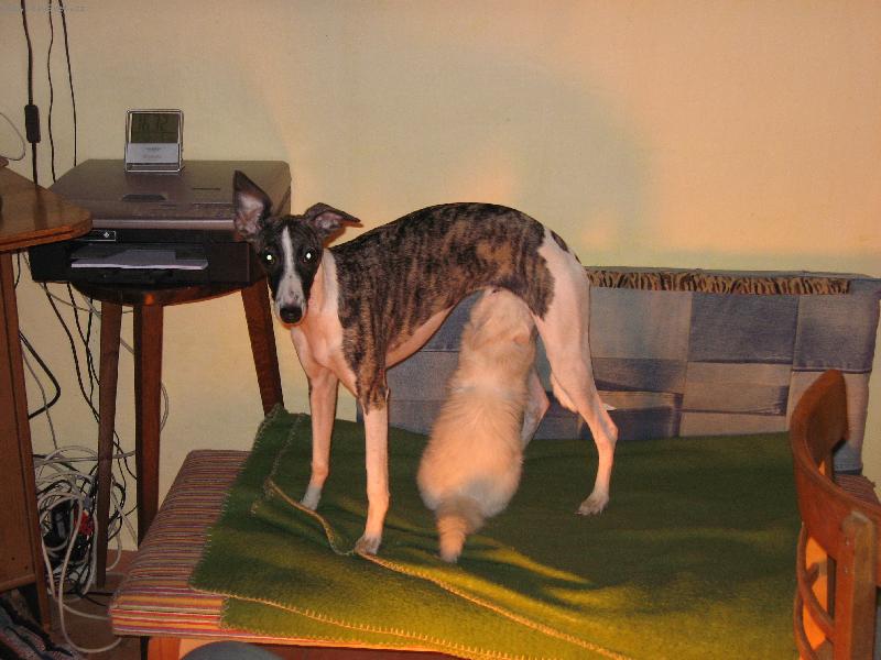 Foto: nevlastn� d�t�-Tak nev�m jestli je to v�n� moje???