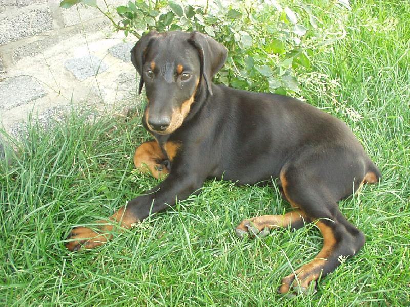 Foto: frajerka Sendy-Lucky mil�ek:o)