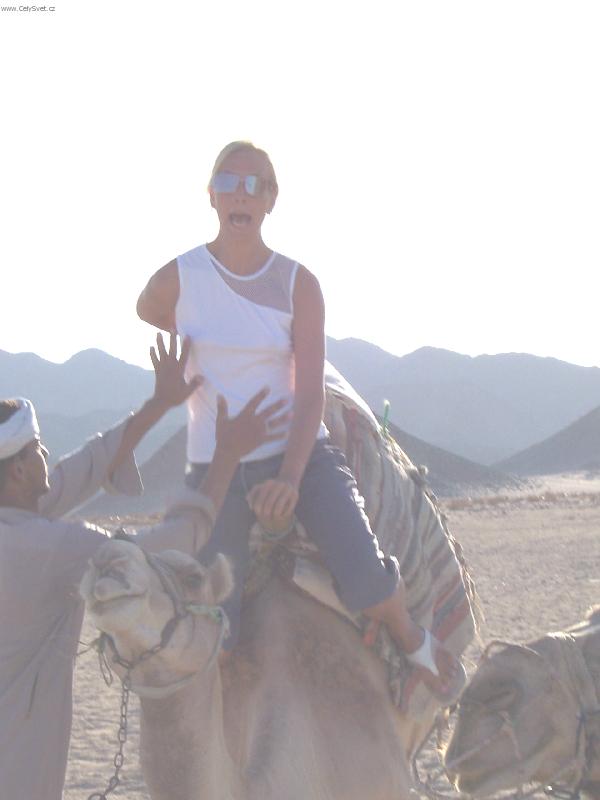 Foto: j� jim ��kala.�e se velbloud� boj�m!!-�ekli jen: Dr� se vzadu!!
