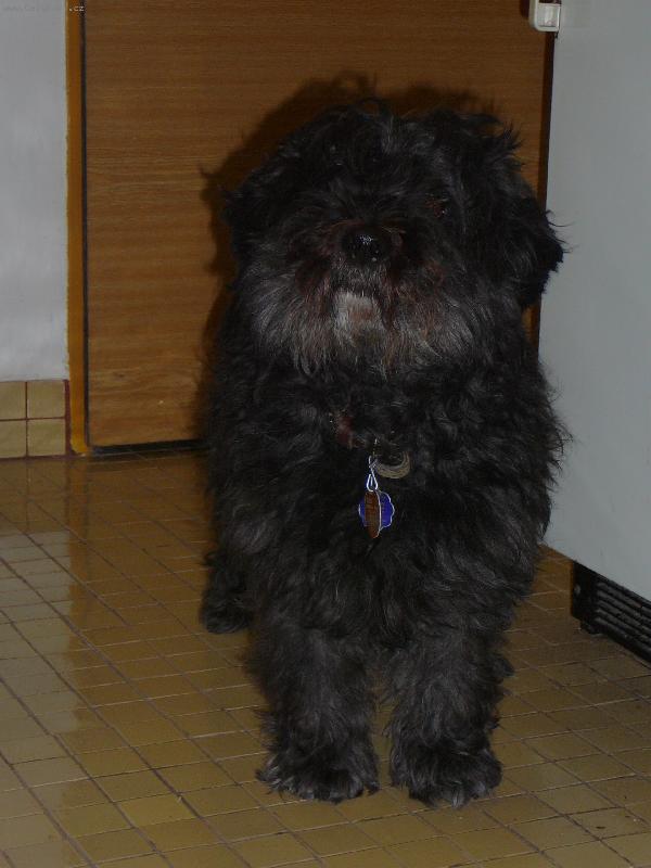 Foto: Bredko-Tu je najlep�� zo v�etkych !!!On sa rad predstiera toto je fotka jedna z jehgo predstierania...NENI BREDKO NADHERNY ??