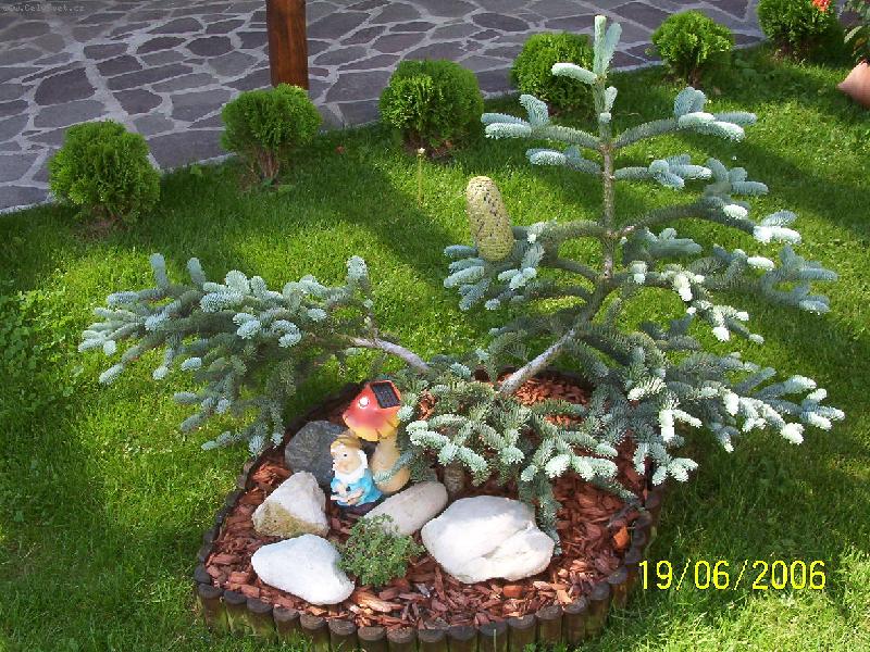 Foto: Trpasli�� smr�ek??-M�n �i�ky na smr�ku je norm�ln�, ale m�t jednu a zrovna tak velikou je docela rarita, ne?