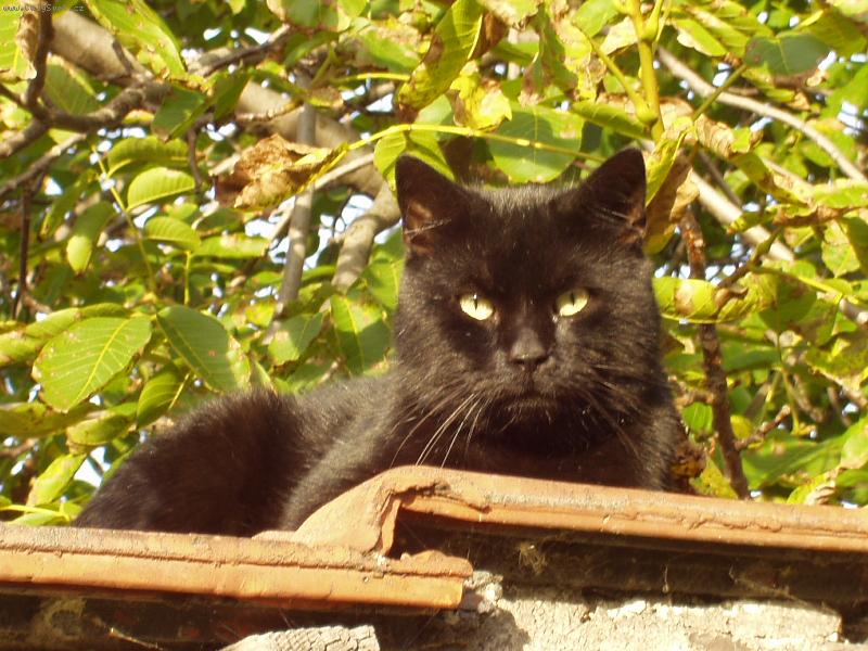 Foto: Odpo�inek v podzimn�ch barv�ch