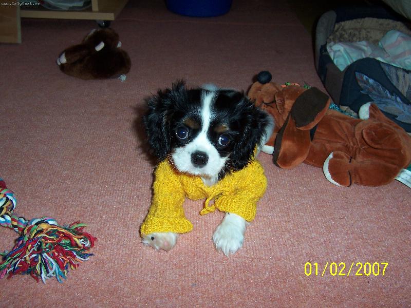 Foto: Akim modelem-n� kaval�r si skou�� novou zimn� kolekci