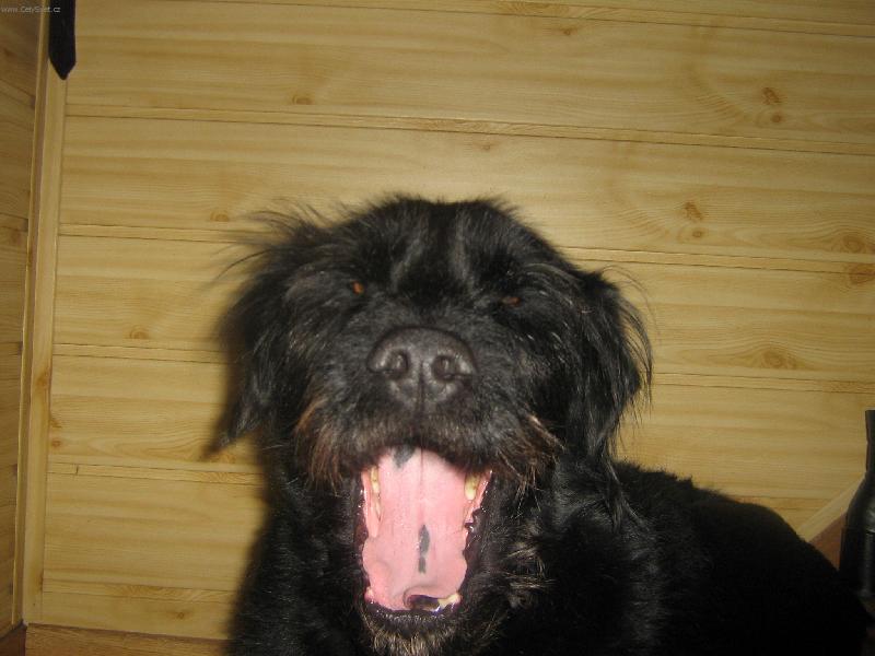 Foto: V�echny v�s snim.-V�echny v�s s nim..