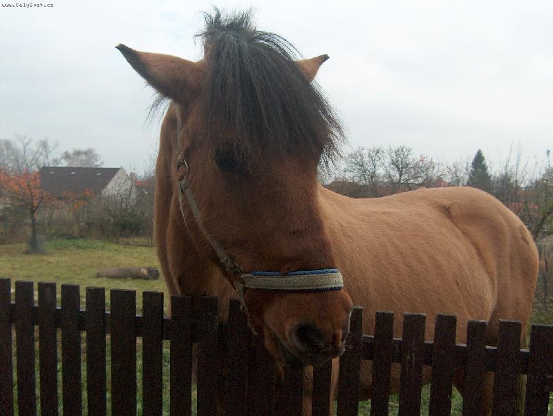 Foto: Rik jm�no m�-Vyfo� m�.S t�hle strany jsem hez��