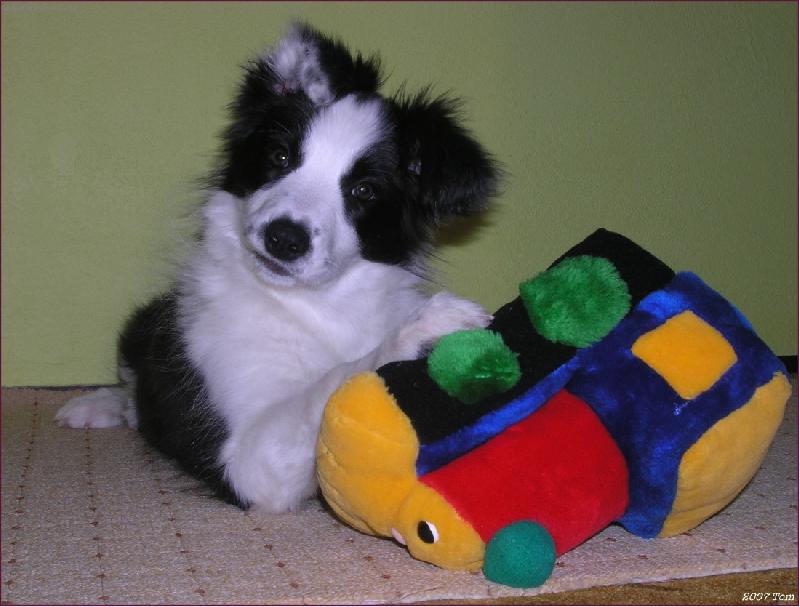 Foto: Atrixi a vl��ek-Atrixi a vl��ek