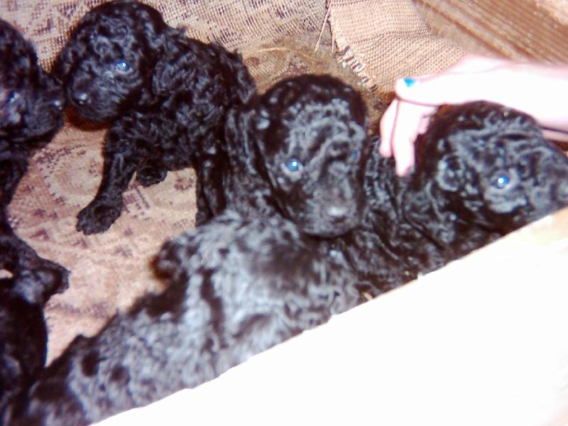 Foto: tak tam nekde jsem-achchchchchch tak tady jsem byl jeste mezi sv�ma