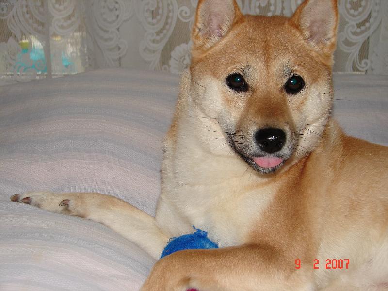 Foto: V�echny v�s moc miluj���!!!-na�e sladk� Lili