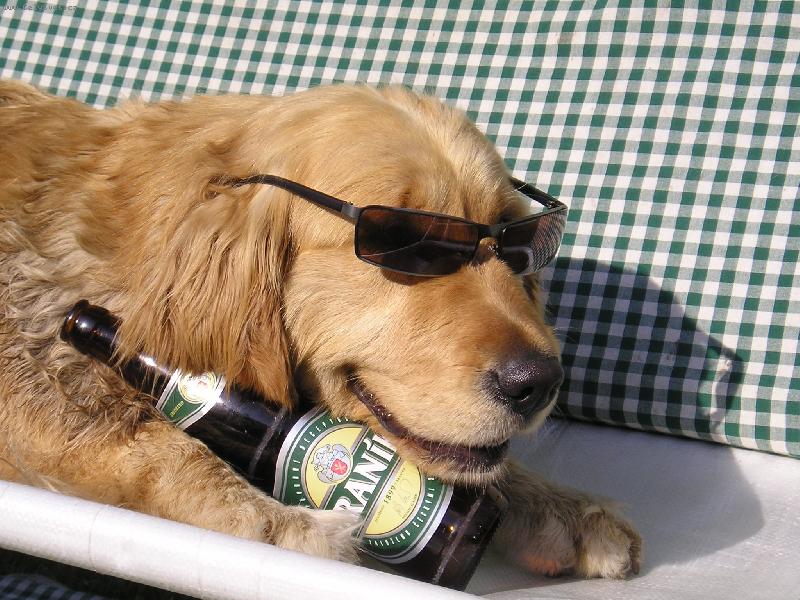 Foto: letn� pohodi�ka-S�ra pohod��ka