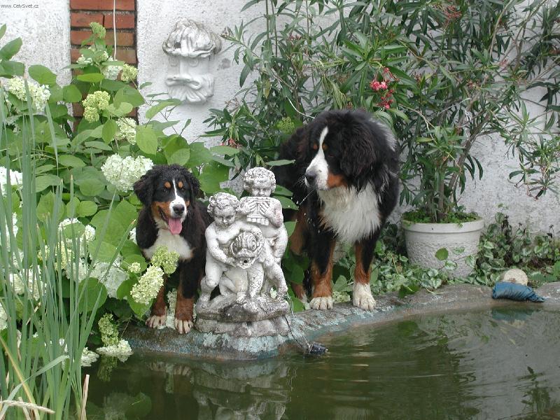 Foto: Ag�tka s kamar�dem Benem