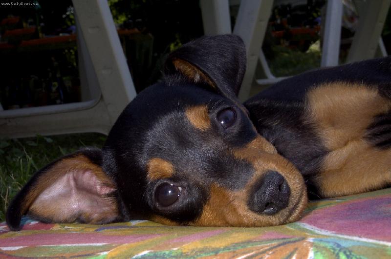 Foto: stra�n� unaven� S�ra