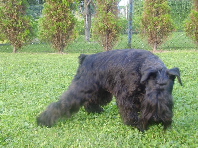 Foto: Quen p�i focen�..........-TAk a miz�m po Anglicku..............