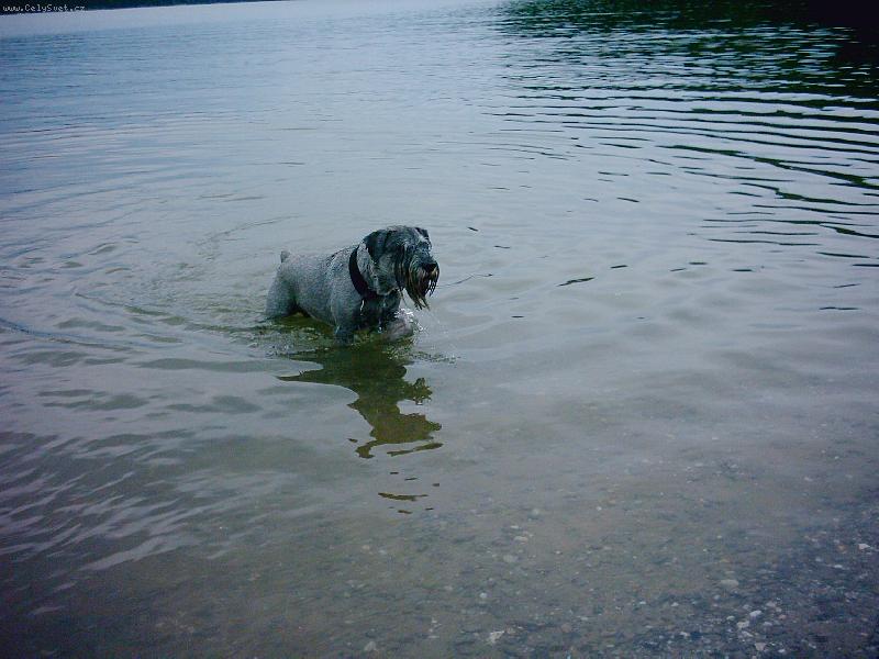 Foto: TAk hod� mi ten klacek..........?-Sat�k na p�ehrad�