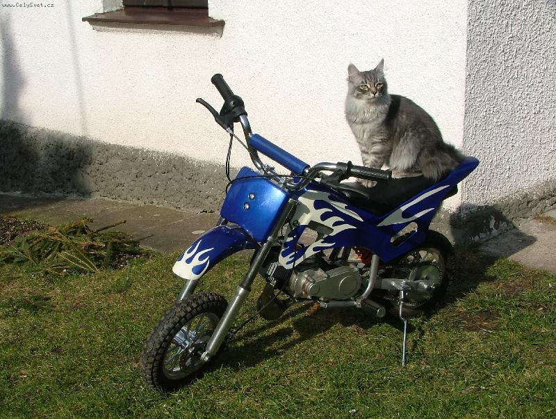 Foto: motork��ka