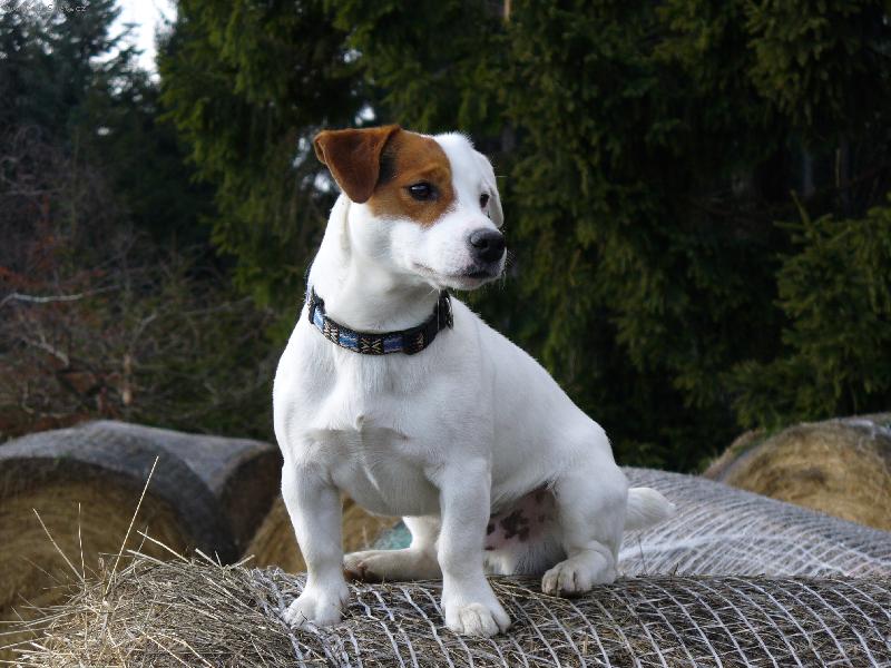 Foto: nejlep�� pohled na sv�t je z bal�ku sl�my