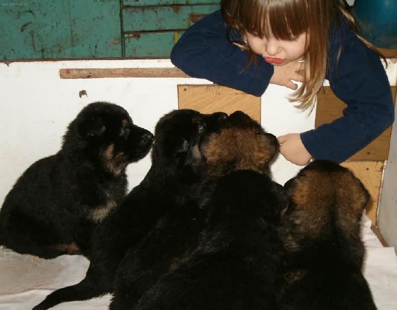 Foto: Poh�dka na dobrou noc