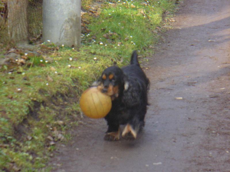 Foto: sarinka a balonek