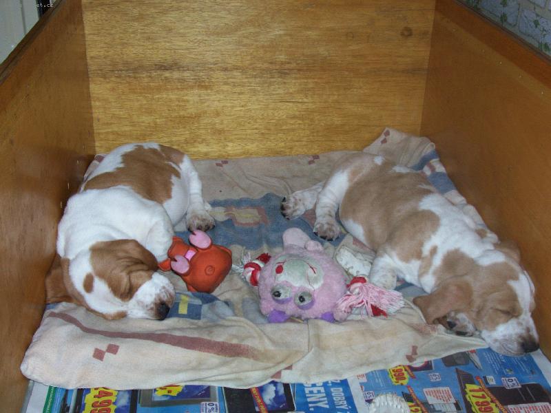 Foto: tich� dom�cnost