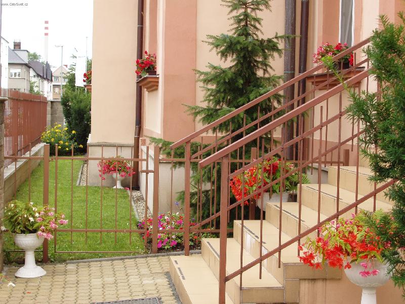 Foto: Begonie-Kv�tinov� v�zdoba