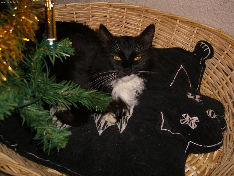 Foto: Uspokoj� m� ka�d� mali�kost