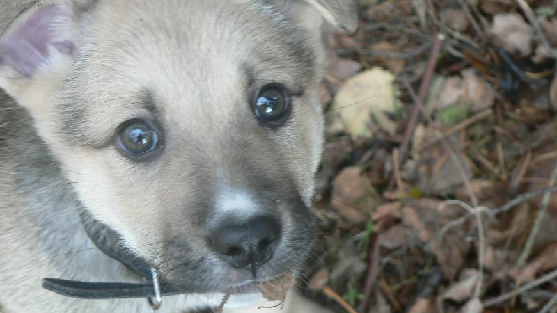 Foto: nejkr�sn�j�� o�i...